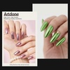 image:imageArtdone 20 Jars Chrome Nail Powder Set Metallic Mirror Effect Holographic Aurora Chameleon Pigment 1gJar for Nail Art Glitters Gel Polish Supply Mermaid Unicorn KitAurora and Chrome set