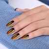image:imageArtdone 20 Jars Chrome Nail Powder Set Metallic Mirror Effect Holographic Aurora Chameleon Pigment 1gJar for Nail Art Glitters Gel Polish Supply Mermaid Unicorn Kit20jars