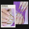 image:imageArtdone Chrome Nail Powder Coffee Color Iridescent Aurora Powder Metallic Mirror Effect Pigment Pearlescent Mermaid Pigment Pearl Glitter Dust Kit Nail Art Decoration Resin CraftLight gold