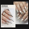 image:imageArtdone Chrome Nail Powder Coffee Color Iridescent Aurora Powder Metallic Mirror Effect Pigment Pearlescent Mermaid Pigment Pearl Glitter Dust Kit Nail Art Decoration Resin CraftLight Silver